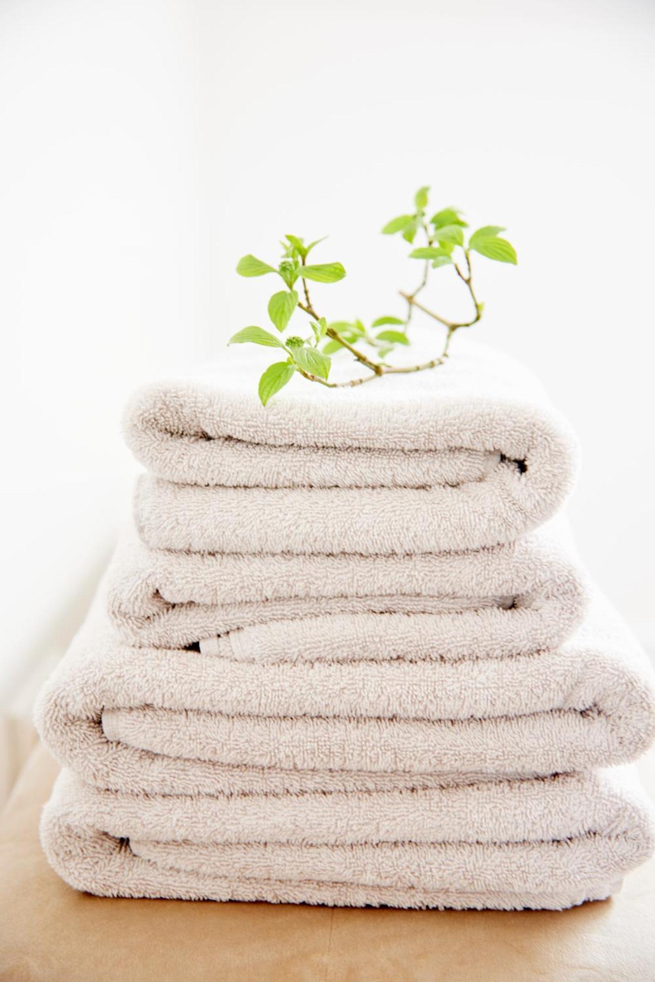 Bed & Breakfast La Dominotte *